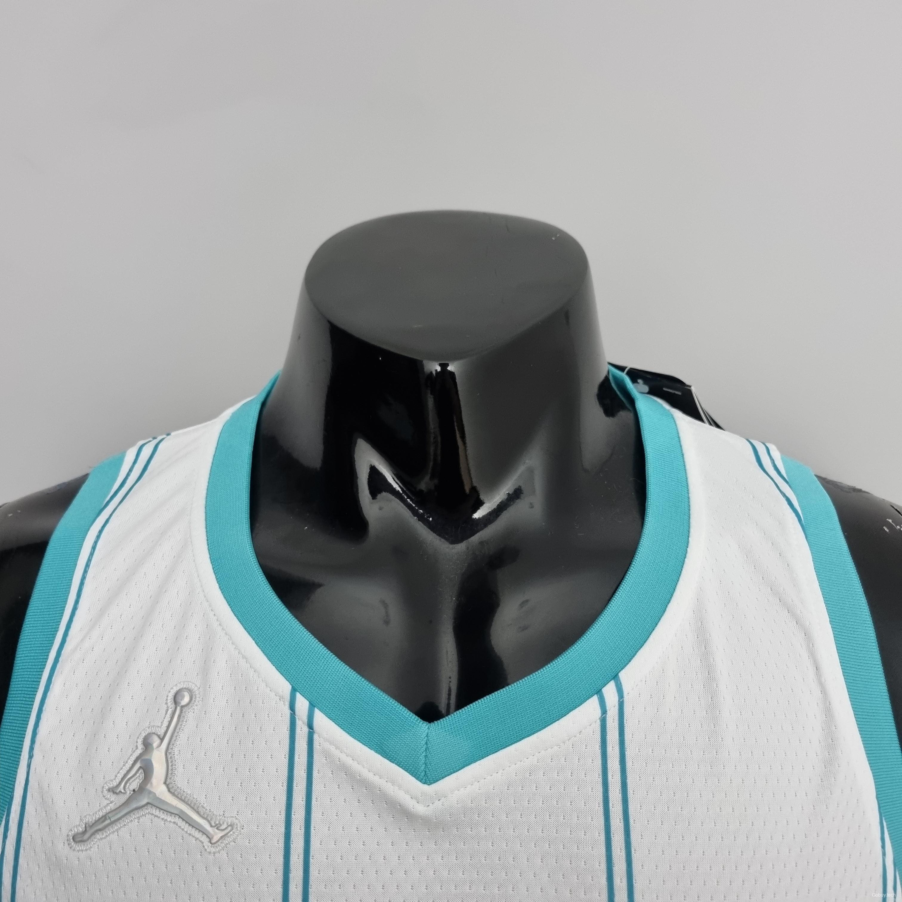 75th Anniversary Hayward #20 Charlotte Hornets White NBA Jersey