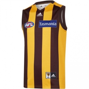 Hawthorn Hawks 2020 Men's Home Football Guernsey